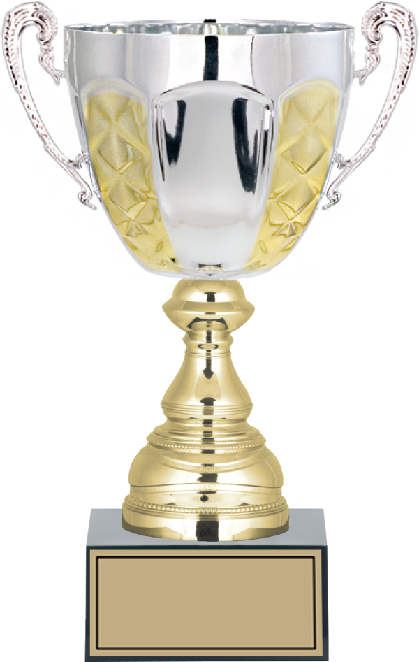 ODAK KUPA - Large Kupalar - L-061 C - 29 cm - Image 1