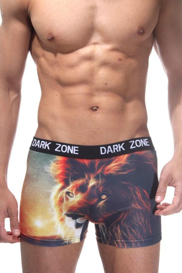 Darkzone Erkek Yeleli Aslan Desenli 3D Boxer - Image 1