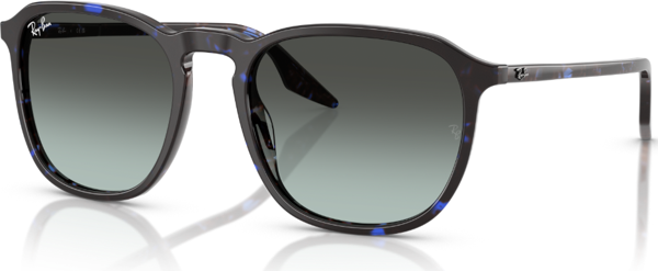 RB 2203 1430GK 55 Ray-Ban Güneş Gözlüğü - Image 1