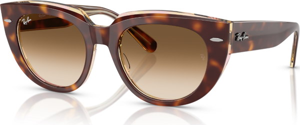 RB 2286 141451 52 Ray-Ban DOREEN Güneş Gözlüğü - Image 1