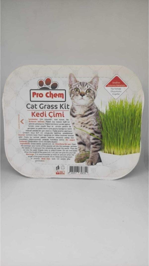 Pro Chem Prochem Kedi Çimi - Image 1