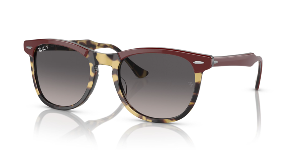 RB 2398 1377M3 53 Ray-Ban EAGLEEYE Polarize Güneş Gözlüğü - Image 1