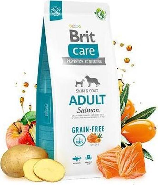 Brit Care Skin Coat Somonlu Tahılsız Yetişkin Köpek Maması 12 Kg - Image 1