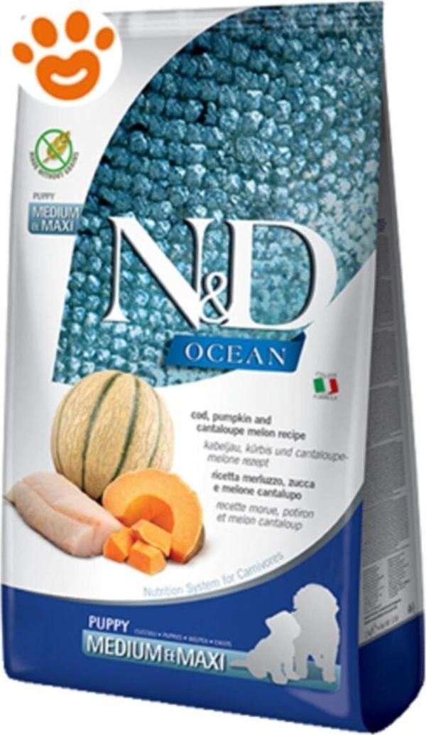 N&D Ocean Morina Balkabağı&kavun Medium Maxi Puppy 12 Kg - Image 1
