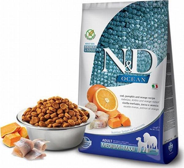 N&D Ocean Pumpkin Balıklı Portakallı Medium Maxi Yetişkin Köpek Maması 12 Kg - Image 1