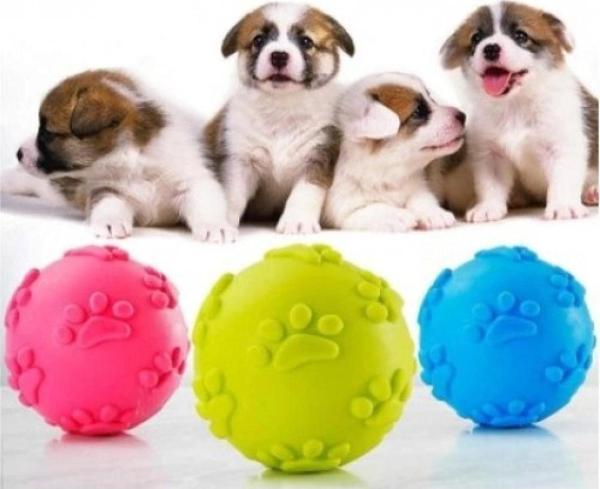 Köpek Isırma Topu Pati Desenli - Image 1