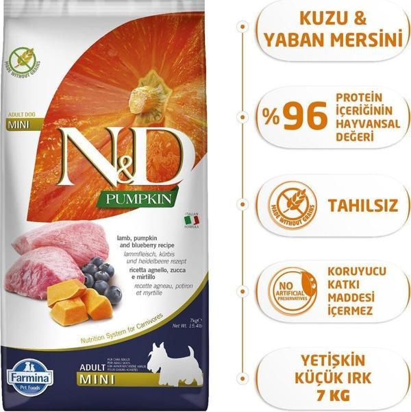 N&D Pumpkin Tahılsız Balkabaklı Kuzulu Küçük Irk Yetişkin Köpek Maması 7 Kg - Image 1