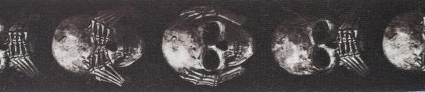 GİTAR ASKISI 50MM ALCHEMY STR-MUTED SKULL - Image 1