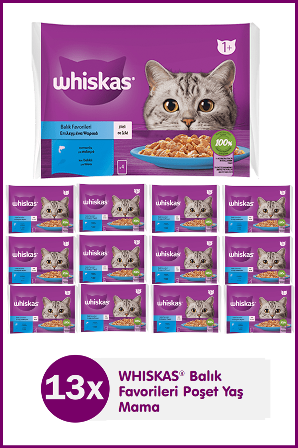 Whiskas Balık Favorileri Somonlu Ton Balıklı Yaş Mama 4X85 gr (13 Adet) - Image 1