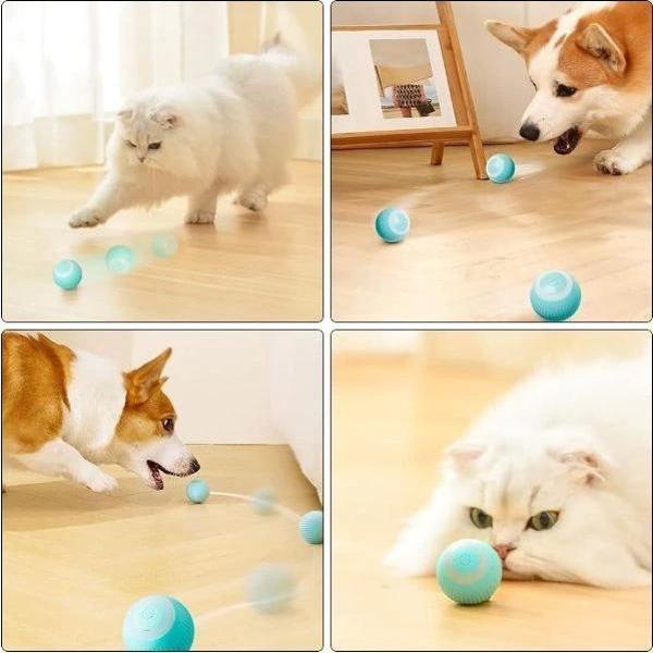 İnteraktif Kedi Köpek Şarjlı Oyun Topu - Image 1
