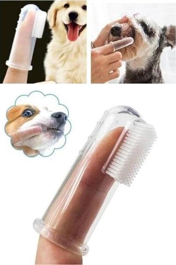 Kedi Köpek Diş Temizleme Fırçası - Image 1