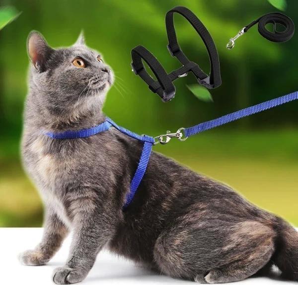 Kedi Tasması - Image 1