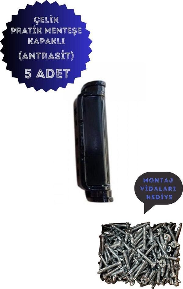 Özfırat Pvc Yapı Pvc Pimapen Kapı Pencere Pratik Çelik Menteşe 80Mm Antrasit (5 Adet) Vidalar Dahil  - Image 1