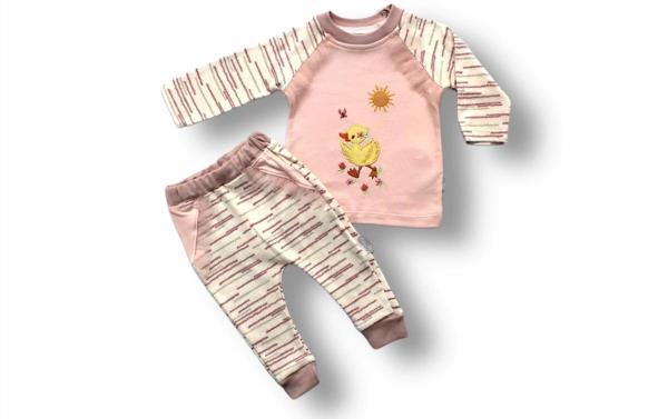 0-3 3-6 6-9 Ay Süslü Ördek Nakışlı Uzun Kollu Sweatli 2li Kız Bebek Takımı Pembe - Image 1
