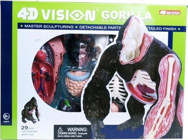 4d Master Vision Anatomi Modeli - Goril - Image 1