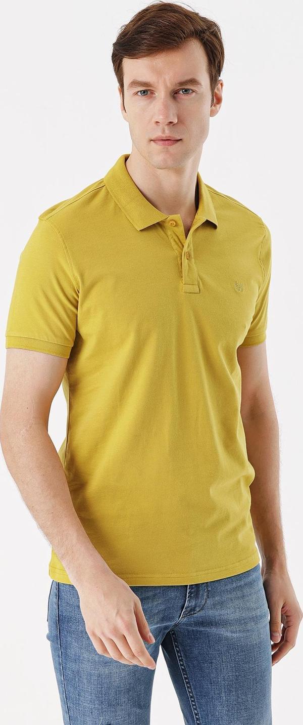 Erkek Limon Küfü Basic Düz %100 Pamuk Slim Fit Dar Kesim Kısa Kollu  Polo Yaka Tişört - Image 1