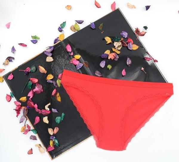 Tutku Tırnak Dantelli Bikini Slip - Image 1