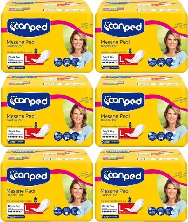 Canped Mesane Pedi Klasik 6 Lı Set L-büyük Boy 60 Adet (6pk*10) - Image 1