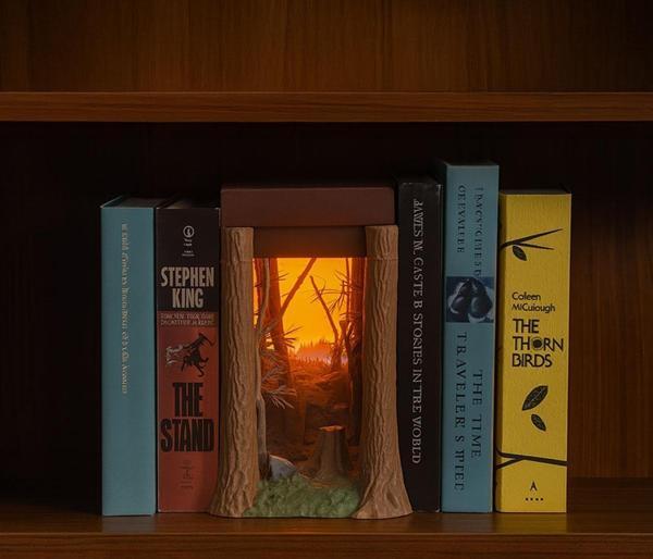Aydınlatmalı Diorama Kitaplık Dekoru - Image 1