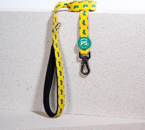 Pawstar Cactus Köpek Gezdirme Kayışı 120 cm x 2 cm - Image 1