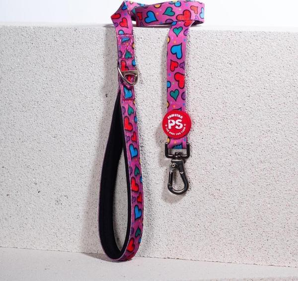 Pawstar Hearts Köpek Gezdirme Kayışı 120 cm x 2 cm - Image 1