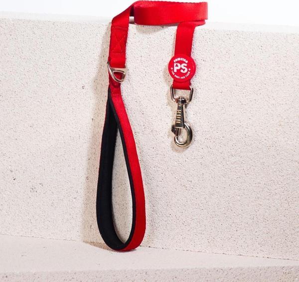 Pawstar Kırmızı Köpek Gezdirme Kayışı 120 cm x 2 cm - Image 1