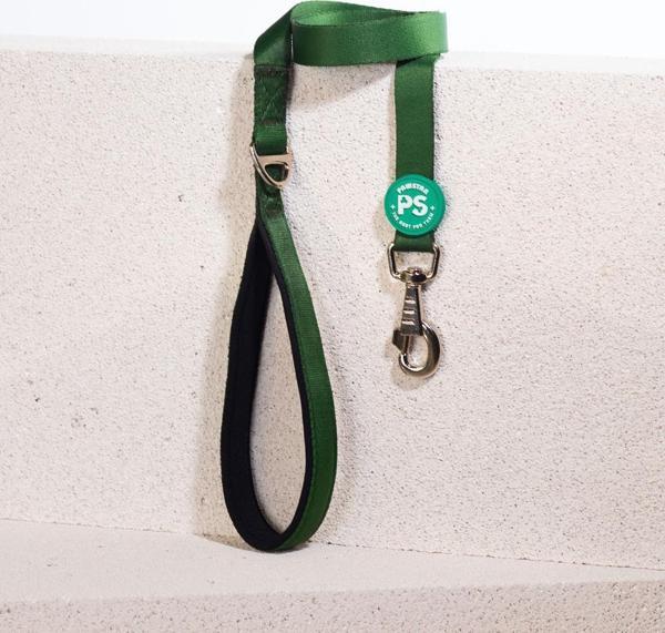 Pawstar Çam Yeşili Köpek Gezdirme Kayışı 120 cm x 2 cm - Image 1