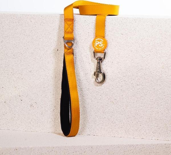 Pawstar Gold Köpek Gezdirme Kayışı 120 cm x 2 cm - Image 1