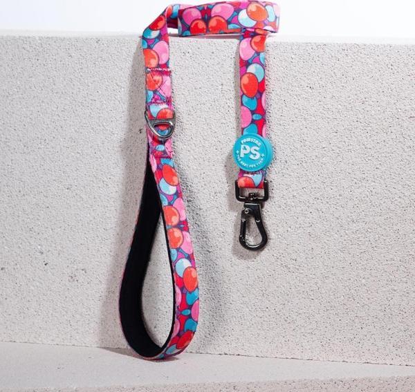 Pawstar Balloons Köpek Gezdirme Kayışı 120 cm x 2 cm - Image 1