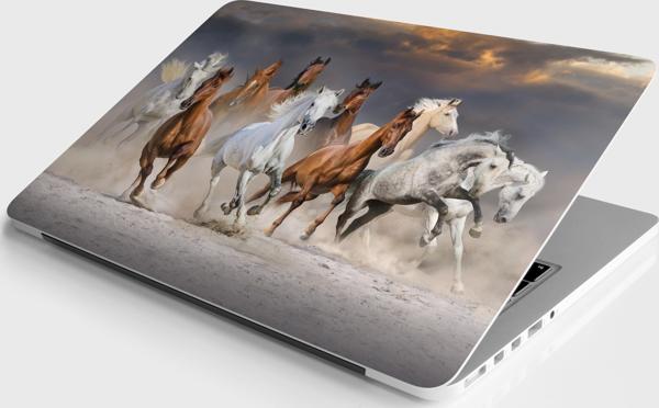 Laptop Sticker Notebook Pc Kaplama Etiketi Atlar - Image 1