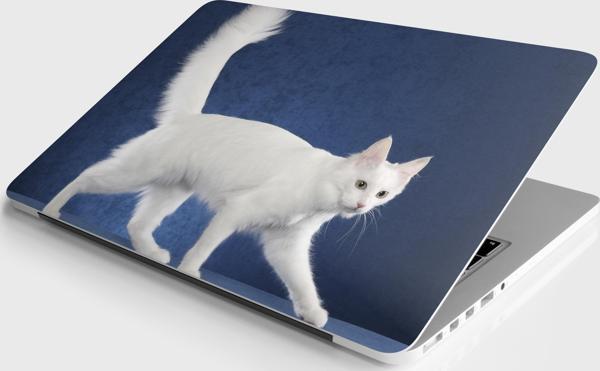 Laptop Sticker Notebook Pc Kaplama Etiketi Beyaz Kedi - Image 1