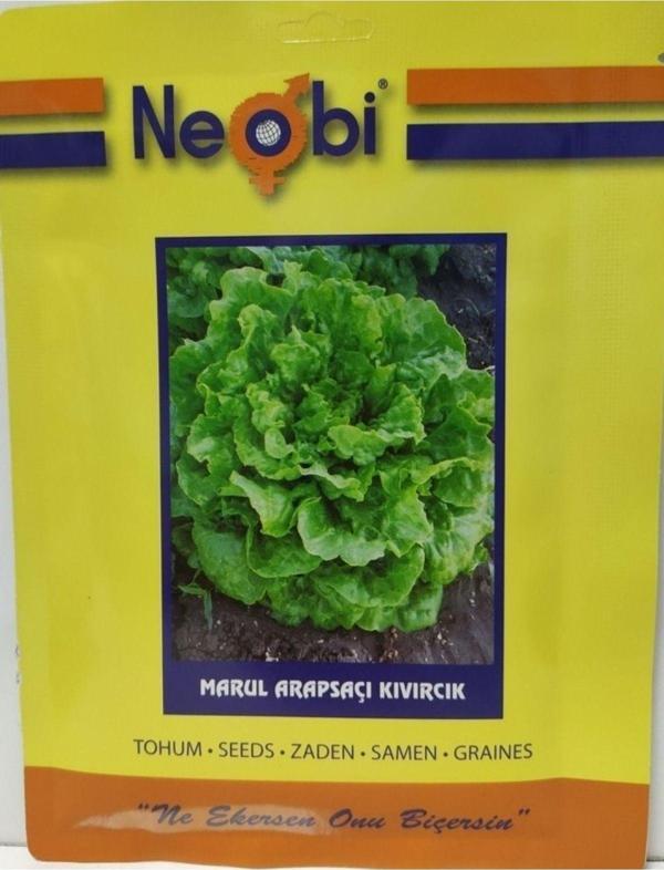 Neobi Arapsaçı Kıvırcık Marul Tohumu 10 Gr 5Ad - Image 1