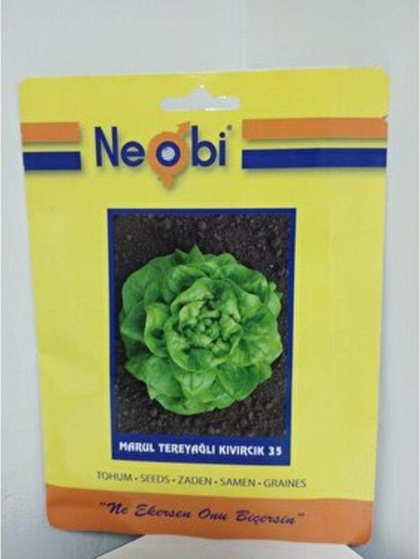 Neobi Tereyağlı Kıvırcık Marul 10 Gr 3Ad - Image 1