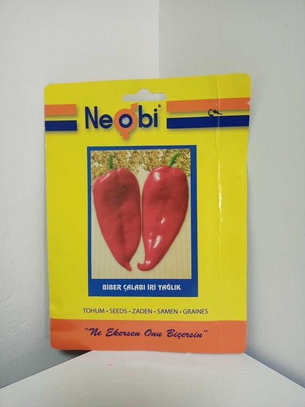 Neobi Biber Çalabı Iri Yağlık Tohum 10 Gr 1 Adet - Image 1