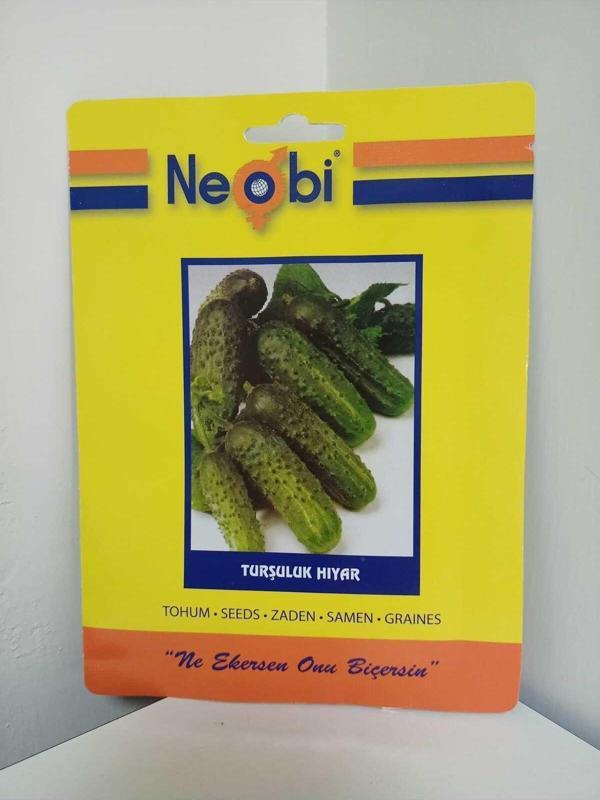 Neobi Turşuluk Hıyar Tohumu 10 Gr 1 Adet - Image 1