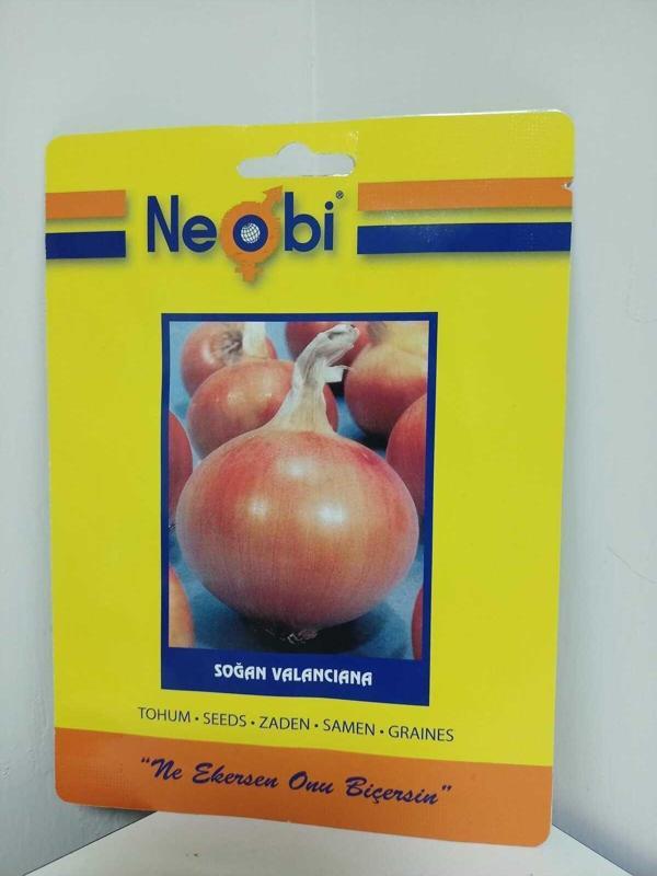 Neobi Soğan Tohumu 10Gr - Image 1