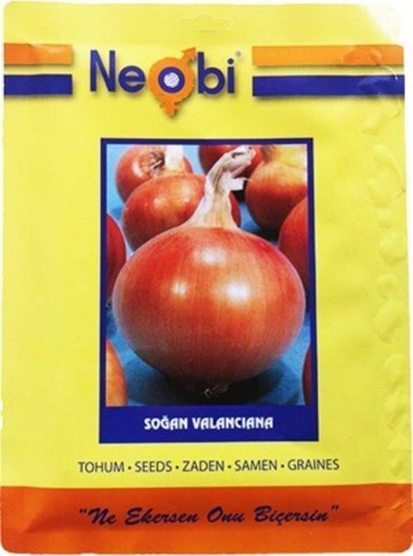Neobi Soğan Tohumu Valancıana - Image 1