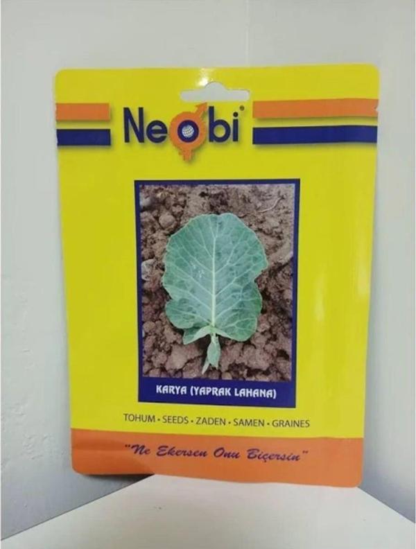 Neobi Kara Yaprak Lahana Tohumu 10 Gr 3Ad - Image 1