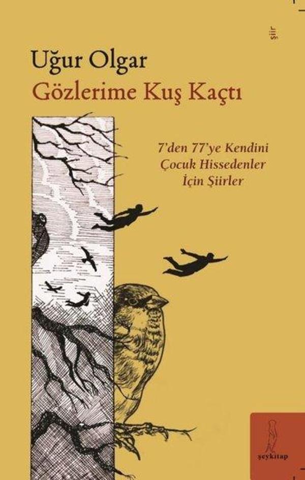 Gözlerime Kuş Kaçtı - 7'den 77'ye Kendini Çocuk Hissedenler İçin Şiirler - ŞEY Kitap - Image 1