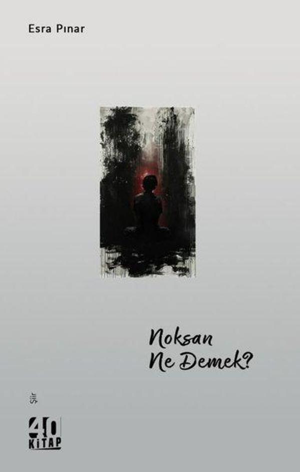 Noksan Ne Demek? - 40 Kitap - Image 1