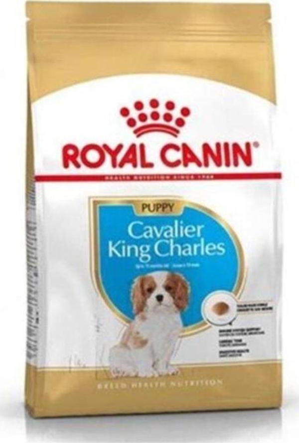 Royal Canin Cavalier King Charles Junior Yavru Köpek Maması 1,5 kg - Image 1