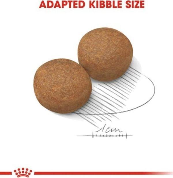 Royal Canin Maxi Adult Büyük Irk Yetişkin Köpek Maması 15kg - Image 1