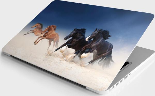 Laptop Sticker Bilgisayar Notebook Pc Kaplama Etiketi Atlar - Image 1