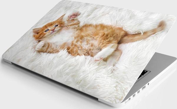 Laptop Sticker Bilgisayar Notebook Pc Kaplama Etiketi Şirin Kedi - Image 1