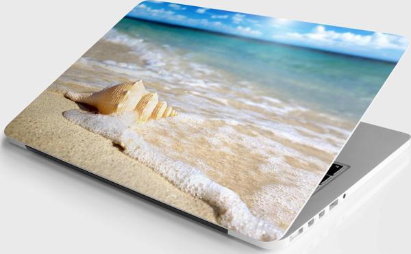 Laptop Sticker Bilgisayar Notebook Pc Kaplama Etiketi Deniz Kabuğu - Image 1