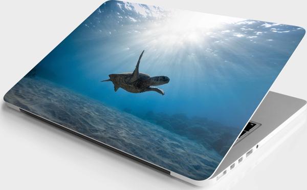 Laptop Sticker Bilgisayar Notebook Pc Kaplama Etiketi Denizaltı Kaplumbağa - Image 1