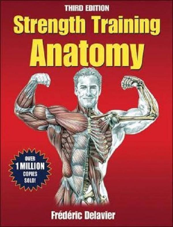 Strength Training Anatomy (Sports Anatomy)  - HUMAN KINETICS - Image 1