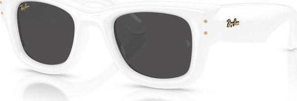 Ray-Ban RB4940 671/87 47 A$AP ROCKY Unisex Güneş Gözlüğü - Image 1