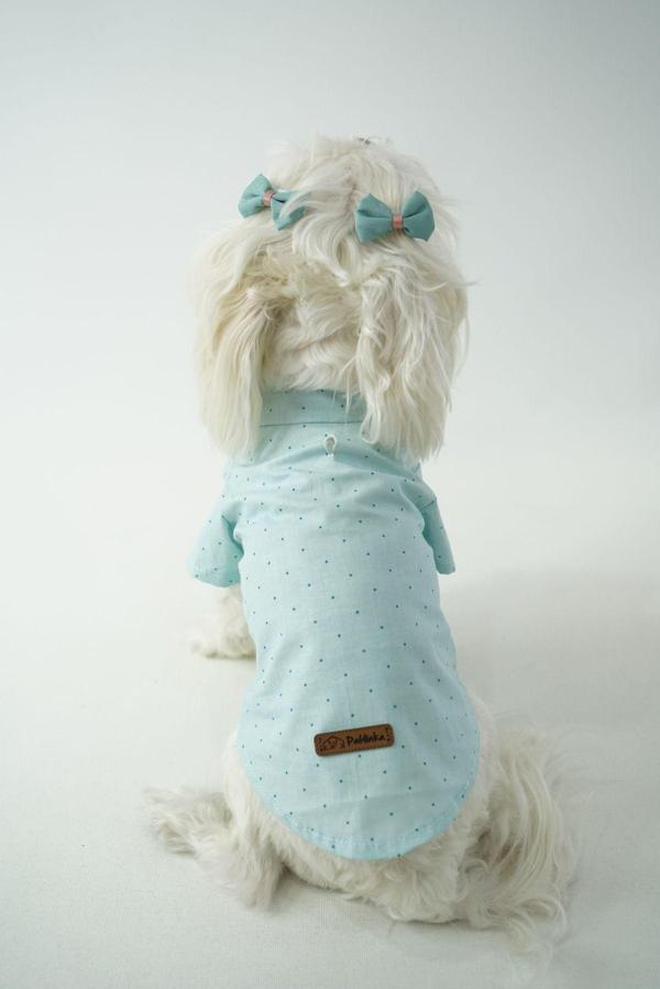 Patilinka Kedi- Köpek Poplin Gömlek - Image 1