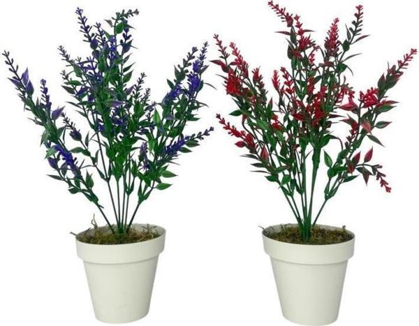 Yapay Çiçek Krem Saksıda 2 Adet Lavanta Mor Ve Kırmızı Renk 28cm - Image 1